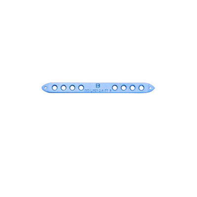 08070137
