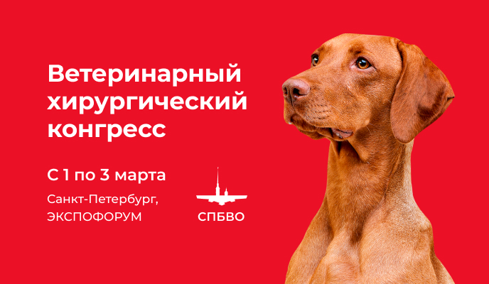 BALF на ХВК 2023!