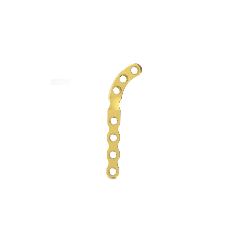 08300704