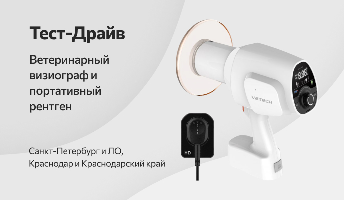 Тест-Драйв!