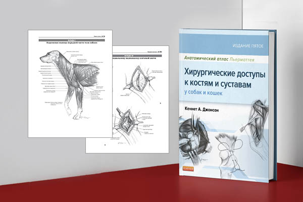 Кеннет А. Джонсон: Атлас Пьерматтеи: Хирургические доступы к костям и суставам у собак и кошек