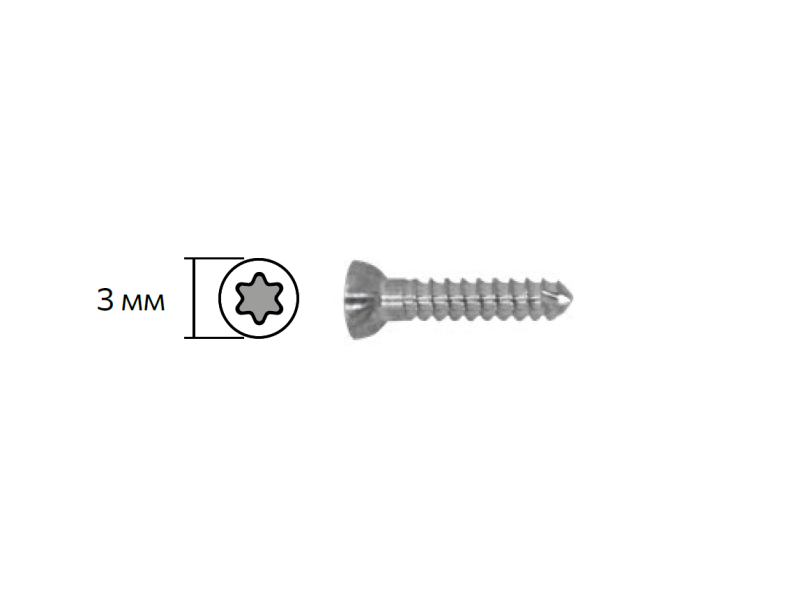 08031544