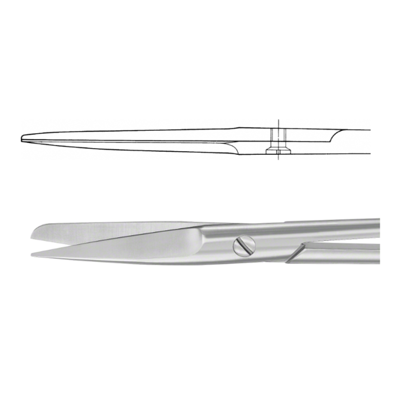 фото 2 (2)